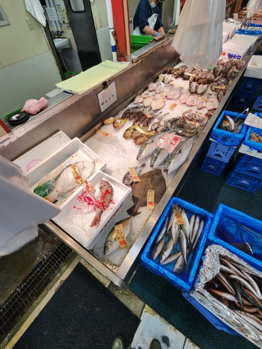 鮮魚コーナー紹介!!