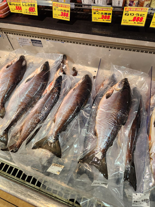 スーパーヒロセの鮮魚ギフト