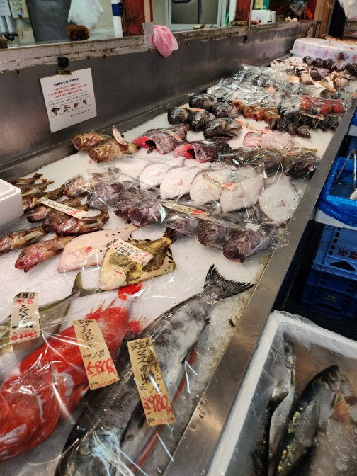 今が旬の魚をご紹介!!