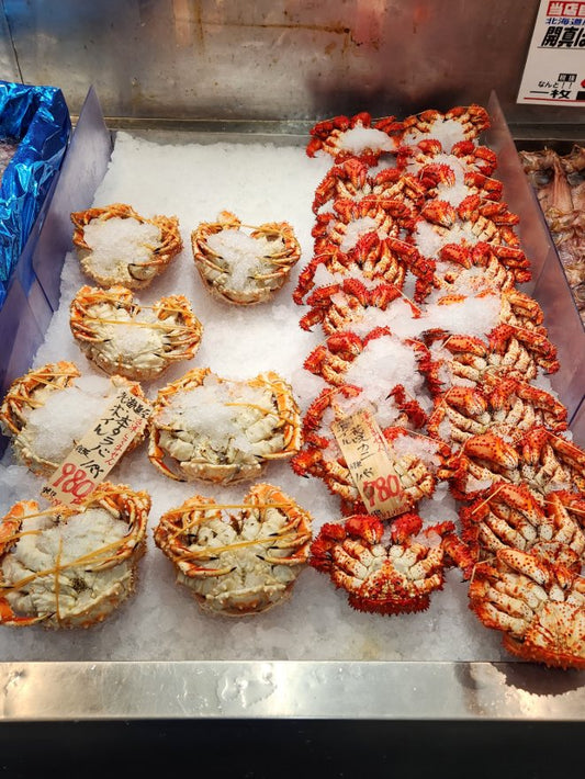カニさん大集合🦀